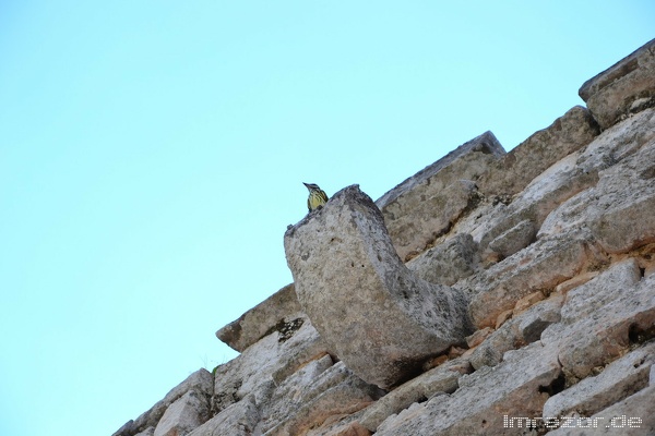 chichen itza022