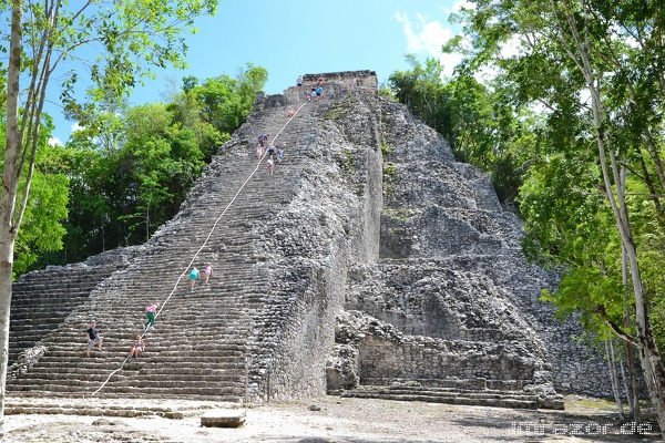 coba006