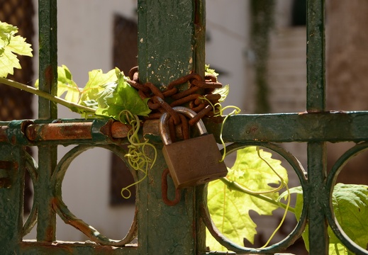 Fodele - Chania -Rethymnon