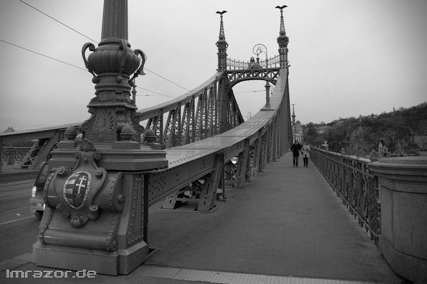 Budapest November 2013 058