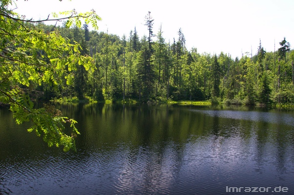 Lusen Juli2013 008