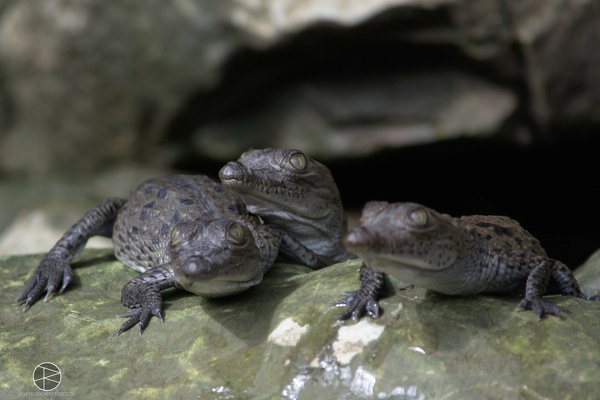 Hochzeitsreise Mexiko2014 0320