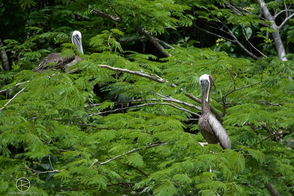 Hochzeitsreise Mexiko2014 0358