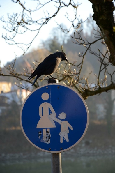 Innpromenade Passau 1 - Innpromenade_Passau_1.jpg Innpromenade_Passau_1.jpg