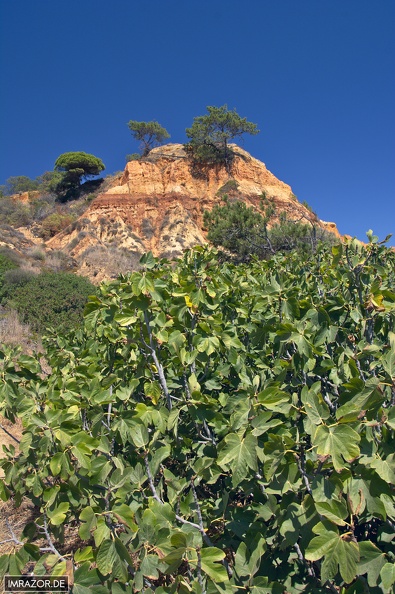 Algarve 4 - Algarve_4.jpg Algarve_4.jpg