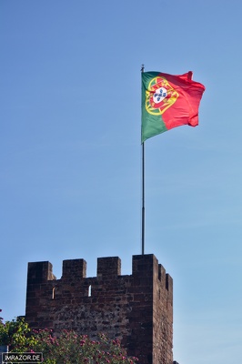 Algarve 50
