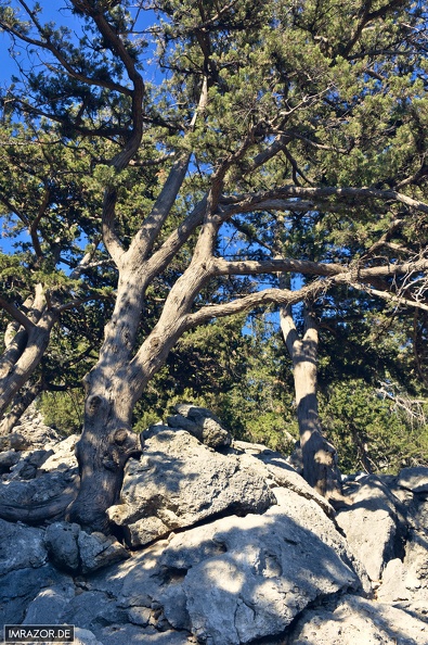 Rhodos2017 79 - Rhodos2017_79.jpg Rhodos2017_79.jpg