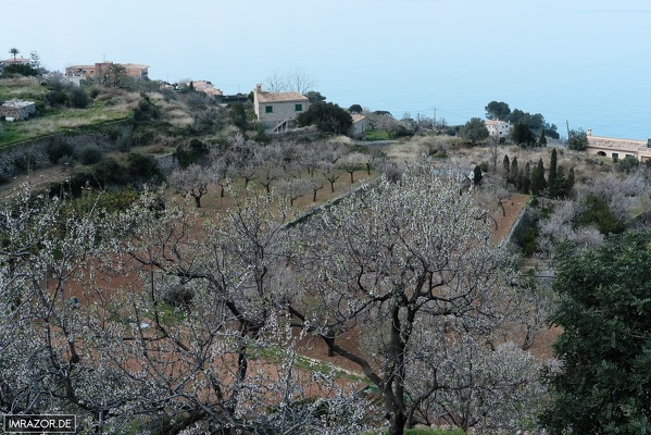 Mallorca 150