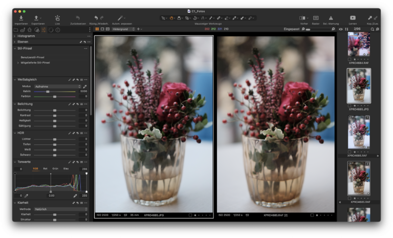 Capture One Pro und Fujifilm Filmsimulationen