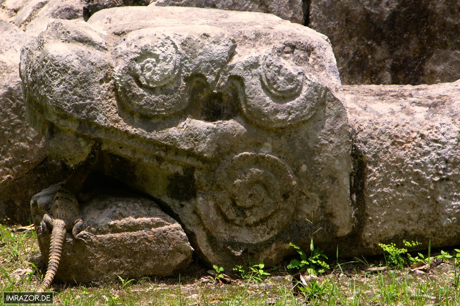 Chichén Itzá - Schlangenkopf mit Leguan