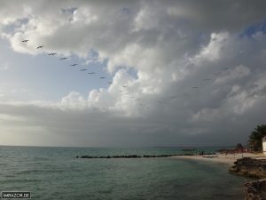 Hotel Tucan Siho Playa