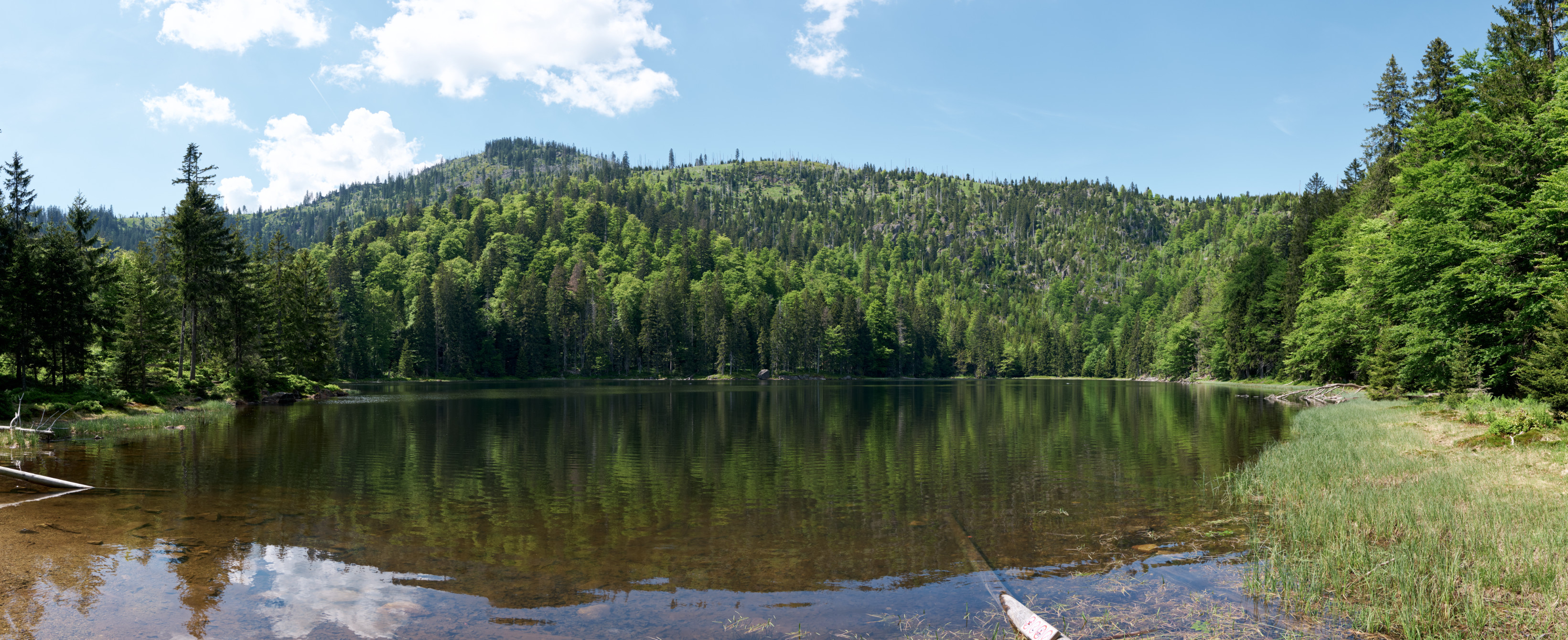 Panorama Rachelsee