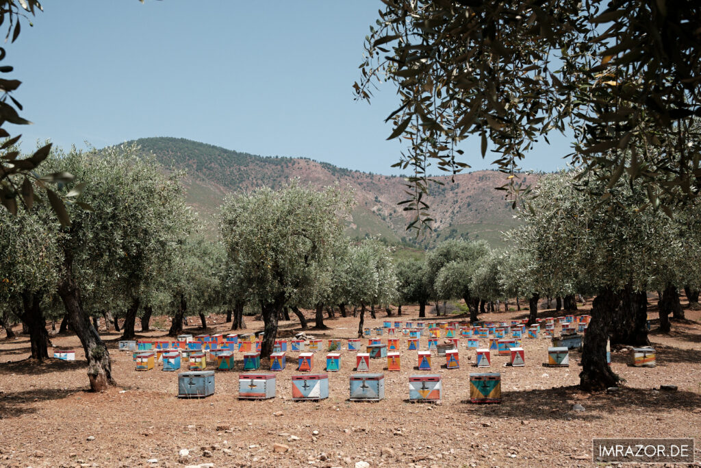 Tal von Mariés - Bienenstöcke im Olivenhain
